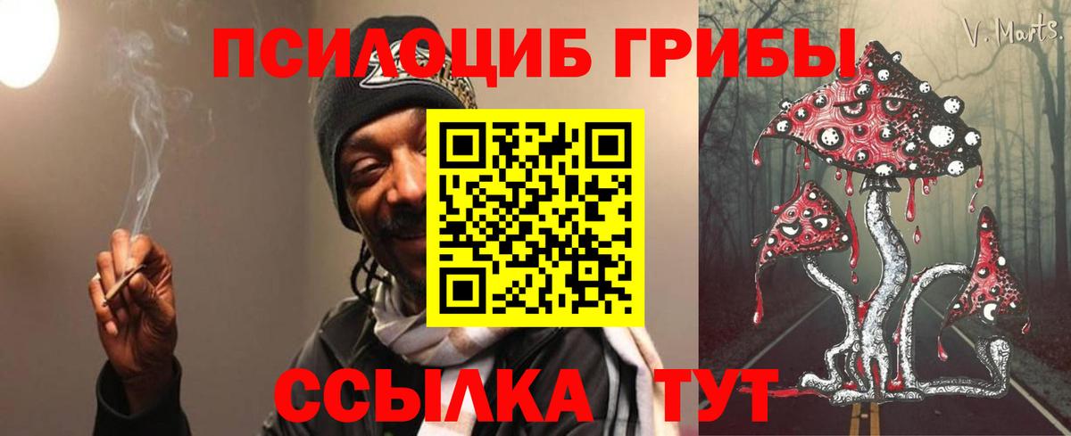 Псилоцибиновые грибы Psilocybine cubensis  Галлюциногенные грибы Psilocybe  Вход с VPN  Бугульма 