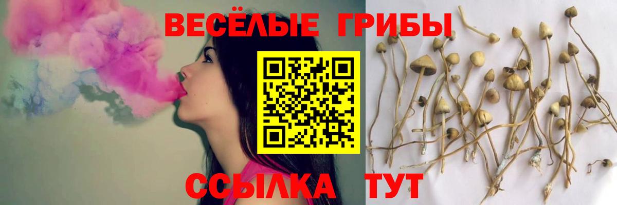 Псилоцибиновые грибы GOLDEN TEACHER Бугульма